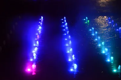 DSC_0713 (Large).JPG